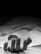 The Alto car, bearing registration number HP01K-7850 and a valid Rohtang permit, had five people onboard at the time of the accident, they said. (File)