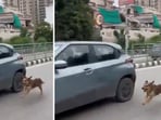 In the clip, the dog can be seen running along with the speeding car, trying to catch up with it. In the clip, the dog can be seen running along with the speeding car, trying to catch up with it.