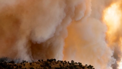 Sage Fire has scorched approximately 25 acres in Moreno Valley, California. (Representational Image/ AP) Sage Fire has scorched approximately 25 acres in Moreno Valley, California. (Representational Image/ AP)