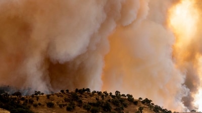 The Aubrey Fire has burned over 50 acres in Spokane, Washington. (Representational Image/ AP) The Aubrey Fire has burned over 50 acres in Spokane, Washington. (Representational Image/ AP)
