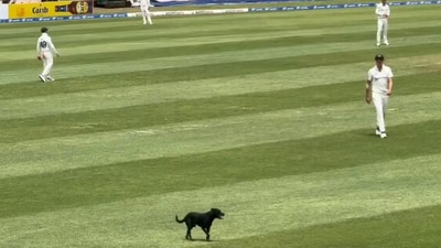 A dog invaded the pitch during the second Test of the series against West Indies (X)
