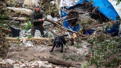 A search dog operates at Camp Mystic after deadly flooding in Kerr County, Texas. (REUTERS/Sergio Flores)