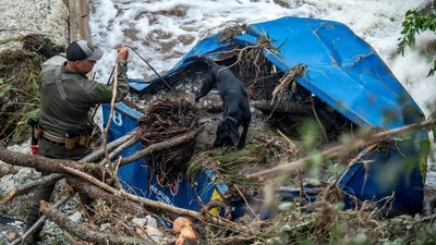 A search dog looks through a dumpster at Camp Mystic after deadly flooding in Kerr County, Texas, U.S., July 5, 2025. (REUTERS)
