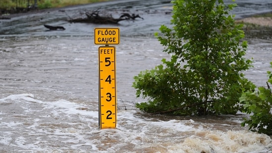 A raging Guadalupe River leaves fallen trees and debris in its wake in Kerrville, Texas.(AP Photo/Eric Gay)