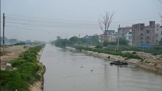 The minister said that directions have been issued to develop a comprehensive plan to install solar panels across the Delhi stretch of the Munak Canal by constructing four-foot-high walls on both sides. (Vipin Kumar/HT Metro)