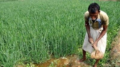 A National Green Tribunal (NGT) monitoring committee had raised concerns in June 2022 about the state’s groundwater crisis. (HT Photo) A National Green Tribunal (NGT) monitoring committee had raised concerns in June 2022 about the state’s groundwater crisis. (HT Photo)
