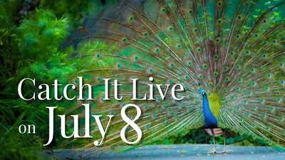 Catch It Live on Tuesday, 8 July 2025. (Photo: Anurag Mehra/HT)