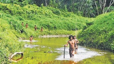 People belonging to Great Nicobar’s Shompen tribe in an undated photo. (Anthropological Survey of India) People belonging to Great Nicobar’s Shompen tribe in an undated photo. (Anthropological Survey of India)