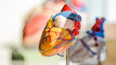 Dr Bhojraj highlighted that what really causes heart disease isn't so much the elevation of cholesterol levels, but rather the circulating LDL particles. (Unsplash) Dr Bhojraj highlighted that what really causes heart disease isn't so much the elevation of cholesterol levels, but rather the circulating LDL particles. (Unsplash)