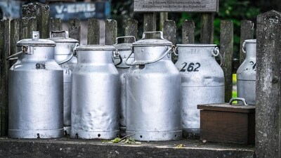 UP milkman accused of spitting into milk before delivery, held (Representative image/Pixabay) UP milkman accused of spitting into milk before delivery, held (Representative image/Pixabay)