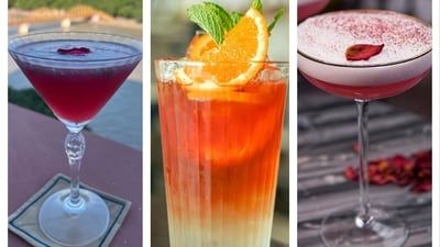 Rose and Chia Seed Cooler, Citrus Splash Elixir and Shahi Sharbat Rose and Chia Seed Cooler, Citrus Splash Elixir and Shahi Sharbat