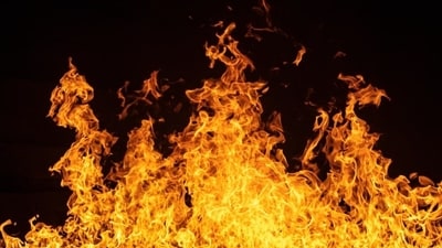 Escondido fire: Brush fire near 15 freeway prompts arson investigation (Unsplash - representational image) Escondido fire: Brush fire near 15 freeway prompts arson investigation (Unsplash - representational image)