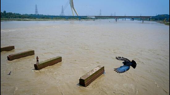 As swollen streams and tributaries feed into the river, the generally inky black waters of the Yamuna are gradually turning into a more natural, muddy flow. (Sanchit Khanna/HT Photo)