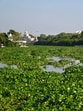 (Mushtaq Ali/HT) (Mushtaq Ali/HT)