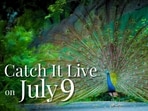 Catch It Live on Wednesday, 9 July 2025.(Photo: Anurag Mehra/HT)