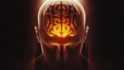 Ensure you're getting enough protein in your diet to support brain and spine health. (Freepik) Ensure you're getting enough protein in your diet to support brain and spine health. (Freepik)