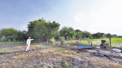 A local points to the spot where a leopard was seen, near the Yamuna Biodiversity Park in Jagatpur village. (Arvind Yadav/HT PHOTO) A local points to the spot where a leopard was seen, near the Yamuna Biodiversity Park in Jagatpur village. (Arvind Yadav/HT PHOTO)