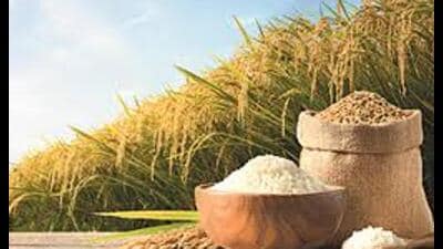 Exporters say that demand for rice from West Asia has fallen sharply as importers have halted purchases amid the conflict. (For representation.)