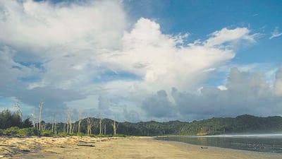 The Great Nicobar project includes development of a container terminal, an airport, a power plant and a township. (HT) The Great Nicobar project includes development of a container terminal, an airport, a power plant and a township. (HT)