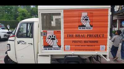 The ambulances are equipped to handle emergency medical care and transportation for small animals in distress. (HT Photo) The ambulances are equipped to handle emergency medical care and transportation for small animals in distress. (HT Photo)