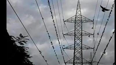 The court acknowledged that around 15 centres in Sikar experienced power failures ranging from 5 to 28 minutes. (Representative file photo) The court acknowledged that around 15 centres in Sikar experienced power failures ranging from 5 to 28 minutes. (Representative file photo)