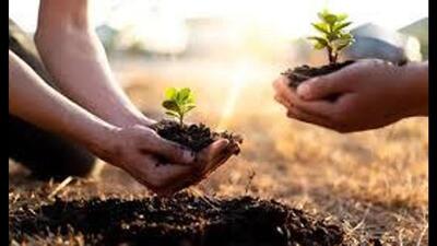To maximise the ecological benefits of the drive, the administration will prioritise planting native and climate-resilient species. (HT Photo)