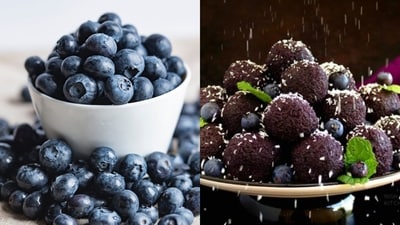 World Blueberry Day 2025: This desi twist to the bougie berry will have you licking your fingers! (Photos: Food Marble, Nish Kitchen)