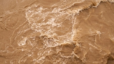Representational image. (Unsplash) Representational image. (Unsplash)