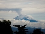 (Representational Image) Seismic activity at Mount Rainier has surged, with the largest earthquake swarm since 2009 detected by USGS. REUTERS/Henry Romero