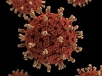 The number of measles infections in the United States has reached the highest level since 1992, The number of measles infections in the United States has reached the highest level since 1992,