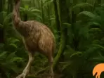 Colossal Biosciences to ‘de-extinct’ New Zealand's giant flightless bird moa (Colossal Biosciences) Colossal Biosciences to ‘de-extinct’ New Zealand's giant flightless bird moa (Colossal Biosciences)