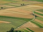 Tier 2 cities emerged as major players in India’s land transaction ecosystem in the first half of 2025, with Coimbatore recording the largest single land transaction of 714 acres. (Photo for representational purposes only)