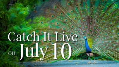 Catch It Live on Thursday, 10 July 2025. (Photo: Anurag Mehra/HT)