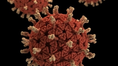 The number of measles infections in the United States has reached the highest level since 1992, (Unsplash) The number of measles infections in the United States has reached the highest level since 1992, (Unsplash)
