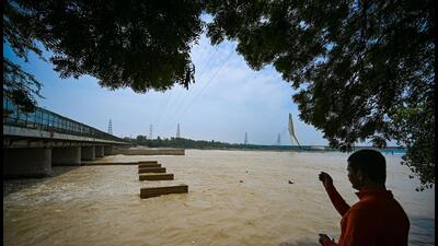 The NGT had taken suo motu cognisance of a May 9 Amar Ujala report that flagged the growing presence of exotic species in the river, and subsequently sought responses from relevant departments on the measures being taken. (Sanchit Khanna/HT Photo) The NGT had taken suo motu cognisance of a May 9 Amar Ujala report that flagged the growing presence of exotic species in the river, and subsequently sought responses from relevant departments on the measures being taken. (Sanchit Khanna/HT Photo)