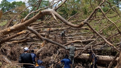 Search and rescue team members look for missing people amid fallen trees by the Guadalupe River at Camp Mystic, in Hunt, Texas, U.S. (REUTERS)