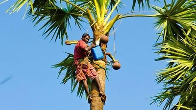 A total of 15 people were hospitalised after consuming toddy at a shop in Kukatpally. (Pic used for representation) (Unsplash)