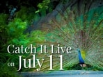 Catch It Live on Friday, 11 July 2025.
