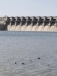 While Marathwada meteorological subdivision grapples with 39% rainfall deficit this season, Jayakwadi dam has recorded record-breaking water storage of 66.39% as of early July. (HT FILE) While Marathwada meteorological subdivision grapples with 39% rainfall deficit this season, Jayakwadi dam has recorded record-breaking water storage of 66.39% as of early July. (HT FILE)