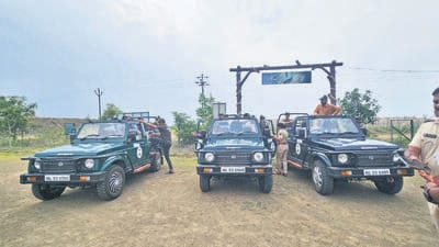Encouraged by enthusiastic response from nature lovers and tourists, Pune forest department plans year-round grassland safari projects at Kadbanwadi in Indapur and Shirsuphal in Baramati. (HT)