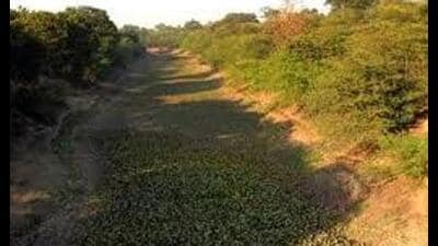 Haryana on its part started construction of the SYL canal in its territories towards the end of 1976 and completed it in June 1980. (HT File) Haryana on its part started construction of the SYL canal in its territories towards the end of 1976 and completed it in June 1980. (HT File)