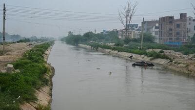 The Munak Canal is 102km-long of which 85km are in Haryana and 17km are Delhi. (Vipin Kumar/HT Photo) The Munak Canal is 102km-long of which 85km are in Haryana and 17km are Delhi. (Vipin Kumar/HT Photo)