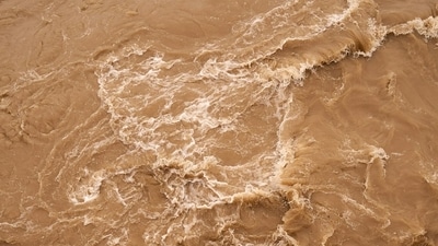 A flash flood warning is in effect for eastern Massachusetts, including Worcester, Norfolk, Suffolk, Middlesex, Bristol, and Plymouth counties. (Representative Image: Unsplash) A flash flood warning is in effect for eastern Massachusetts, including Worcester, Norfolk, Suffolk, Middlesex, Bristol, and Plymouth counties. (Representative Image: Unsplash)