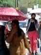 From July 11-13, the weather is expected to be hot and humid with a spell of light rain and thundershower at scattered places, said MeT expert. (Representative)