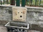 Around the carving are hand-written messages from Bengaluru residents who clearly haven’t forgotten their furry friend.
