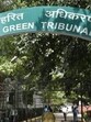 NGT listed the matter for further hearing on July 25. (Hindustan Times) NGT listed the matter for further hearing on July 25. (Hindustan Times)