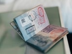 A Reddit user cautioned H-1B visa holders against buying houses in the US amid job cuts and political uncertainty. A Reddit user cautioned H-1B visa holders against buying houses in the US amid job cuts and political uncertainty.