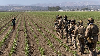 A woman raises her hands as Customs and Border Protection officers extend their skirmish line into a crop field during a raid by Federal immigration agents at Glass House Farms in Camarillo, California. (AFP) A woman raises her hands as Customs and Border Protection officers extend their skirmish line into a crop field during a raid by Federal immigration agents at Glass House Farms in Camarillo, California. (AFP)
