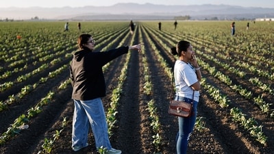 People watch near federal agents blocking protestors during an ICE immigration raid at a nearby licensed cannabis farm near Camarillo. (Mario Tama/AFP) People watch near federal agents blocking protestors during an ICE immigration raid at a nearby licensed cannabis farm near Camarillo. (Mario Tama/AFP)