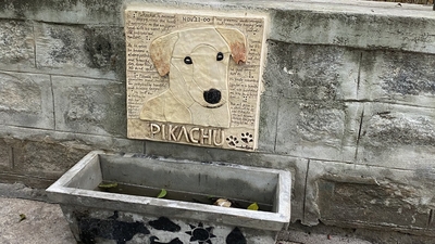 Around the carving are hand-written messages from Bengaluru residents who clearly haven’t forgotten their furry friend. (X/@nithinkumrr)
